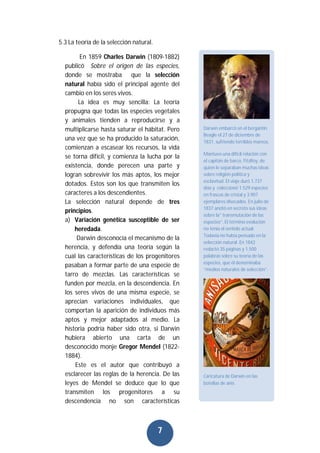 7
5.3 La teoría de la selección natural.
En 1859 Charles Darwin (1809-1882)
publicó Sobre el origen de las especies,
donde se mostraba que la selección
natural había sido el principal agente del
cambio en los seres vivos.
La idea es muy sencilla: La teoría
propugna que todas las especies vegetales
y animales tienden a reproducirse y a
multiplicarse hasta saturar el hábitat. Pero
una vez que se ha producido la saturación,
comienzan a escasear los recursos, la vida
se torna difícil, y comienza la lucha por la
existencia, donde perecen una parte y
logran sobrevivir los más aptos, los mejor
dotados. Estos son los que transmiten los
caracteres a los descendientes.
La selección natural depende de tres
principios.
a) Variación genética susceptible de ser
heredada.
Darwin desconocía el mecanismo de la
herencia, y defendía una teoría según la
cual las características de los progenitores
pasaban a formar parte de una especie de
tarro de mezclas. Las características se
funden por mezcla, en la descendencia. En
los seres vivos de una misma especie, se
aprecian variaciones individuales, que
comportan la aparición de individuos más
aptos y mejor adaptados al medio. La
historia podría haber sido otra, si Darwin
hubiera abierto una carta de un
desconocido monje Gregor Mendel (1822-
1884).
Este es el autor que contribuyó a
esclarecer las reglas de la herencia. De las
leyes de Mendel se deduce que lo que
transmiten los progenitores a su
descendencia no son características
Darwin embarcó en el bergantín
Beagle el 27 de diciembre de
1831, sufriendo terribles mareos.
Mantuvo una difícil relación con
el capitán de barco, FitzRoy, de
quien le separaban muchas ideas
sobre religión política y
esclavitud. El viaje duró 1.737
días y coleccionó 1.529 especies
en frascos de cristal y 3.907
ejemplares disecados. En julio de
1837 anotó en secreto sus ideas
sobre la” transmutación de las
especies”. El término evolución
no tenía el sentido actual.
Todavía no había pensado en la
selección natural. En 1842
redactó 35 páginas y 1.500
palabras sobre su teoría de las
especies, que él denominaba
“medios naturales de selección”.
Caricatura de Darwin en las
botellas de anís.
 