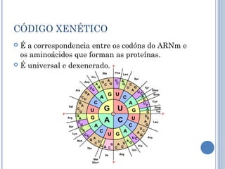 CÓDIGO XENÉTICO
 É a correspondencia entre os codóns do ARNm e
os aminoácidos que forman as proteínas.
 É universal e dexenerado.
 