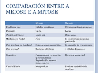 COMPARACIÓN ENTRE A
MEIOSE E A MITOSE
Mitose Meiose
Prodúcese nas Células somáticas Células nai 2n de gametos
Duración Curta Longa
O núcleo divídese Unha vez Dúas veces
Mestúrase o ADN? Non Si (sobrecruzamento na
profase I)
Que acontece na Anafase? Separación de cromátidas Separación de cromosomas
Que orixina? 2 células idénticas 4 células diferentes
Obxectivo Crecemento e reparación
(pluricelulares)
Reprodución asexual
(unicelulares)
Reprodución sexual
Variabilidade Non produce Produce variabilidade
xenética
 