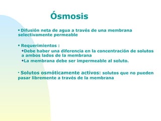 Difusión neta de agua a través de una membrana selectivamente permeable  Requerimientos : Debe haber una diferencia en la concentración de solutos a ambos lados de la membrana La membrana debe ser impermeable al soluto. Ósmosis Solutos osmóticamente activos:  solutos que no pueden pasar libremente a través de la membrana 