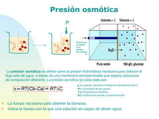 La fuerza necesaria para detener la ósmosis. Indica la fuerza con la que una solución es capaz de atraer agua. Presión osmótica   La  presión osmótica  se define como la presión hidrostática necesaria para detener el flujo neto de agua  a través de una membrana semipermeable que separa soluciones de composición diferente. La presión osmótica (p) está dada por: Fuerza que  se opone a un cambio  de volumen P p  es presión osmótica medida en atmósferas (atm), R  la constante de los gases T  la temperatura absoluta DC  la diferencia de las concentraciones  