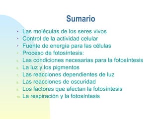 Sumario Las moléculas de los seres vivos Control de la actividad celular Fuente de energía para las células Proceso de fotosíntesis:  Las condiciones necesarias para la fotosíntesis  La luz y los pigmentos  Las reacciones dependientes de luz  Las reacciones de oscuridad  Los factores que afectan la fotosíntesis La respiración y la fotosíntesis 