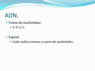 ADN.
 Unión de nucleótidos:
   A-T; G-C.


 Espiral.
    Cada vuelta contiene 10 pares de nucleótidos.
 