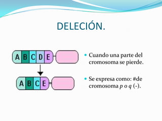 DELECIÓN.

      Cuando una parte del
      cromosoma se pierde.

      Se expresa como: #de
      cromosoma p o q (-).
 