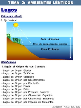 TEMA 2: AMBIENTES LÉNTICOS

Lagos
Estructura (Cont.)
2. Eje Vertical




                                      Zona Limnética

                               Nivel de compensación lumínico

                                      Zona Profunda




Clasificación
1. Según el Origen de sus Cuencas
- Lagos   de   Origen   Glaciar
- Lagos   de   Origen   Tectónico
- Lagos   de   Origen   Volcánico
- Lagos   de   Origen   por Deslizamientos
- Lagos   de   Origen   por Disolución
- Lagos   de   Origen   Fluvial
- Lagos   de   Origen   Eólico
- Lagos   de   Origen   por Procesos Costeros
- Lagos   de   Origen   por Obstrucción Orgánica
- Lagos   de   Origen   por Organismos Superiores
- Lagos   de   Origen   por Impacto de Meteoritos
                                               LIMNOLOGÍA - Profesor: Carlos Goitía
 