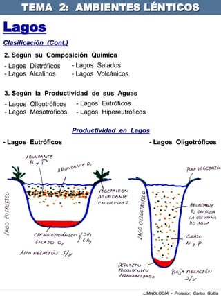 TEMA 2: AMBIENTES LÉNTICOS

Lagos
Clasificación (Cont.)
2. Según su Composición Química
- Lagos Distróficos     - Lagos Salados
- Lagos Alcalinos       - Lagos Volcánicos

3. Según la Productividad de sus Aguas
- Lagos Oligotróficos    - Lagos Eutróficos
- Lagos Mesotróficos     - Lagos Hipereutróficos

                        Productividad en Lagos
- Lagos Eutróficos                                 - Lagos Oligotróficos




                                               LIMNOLOGÍA - Profesor: Carlos Goitía
 