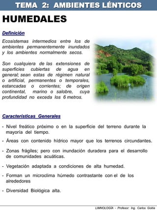 TEMA 2: AMBIENTES LÉNTICOS

HUMEDALES
Definición
Ecosistemas intermedios entre los de
ambientes permanentemente inundados
y los ambientes normalmente secos.

Son cualquiera de las extensiones de
superficies cubiertas de agua en
general; sean estas de régimen natural
o artificial, permanentes o temporales,
estancadas o corrientes; de origen
continental, marino o salobre, cuya
profundidad no exceda los 6 metros.



Características Generales

- Nivel freático próximo o en la superficie del terreno durante la
  mayoría del tiempo.
- Áreas con contenido hídrico mayor que los terrenos circundantes.

- Zonas frágiles; pero con inundación duradera para el desarrollo
  de comunidades acuáticas.

- Vegetación adaptada a condiciones de alta humedad.
- Forman un microclima húmedo contrastante con el de los
  alrededores

- Diversidad Biológica alta.


                                          LIMNOLOGÍA - Profesor: Ing. Carlos Goitía
 