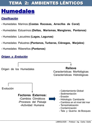 TEMA 2: AMBIENTES LÉNTICOS

Humedales
Clasificación

- Humedales Marinos (Costas Rocosas, Arrecifes de Coral)

- Humedales Estuarinos (Deltas, Marismas, Manglares, Pantanos)

- Humedales Lacustres (Lagos, Lagunas)

- Humedales Palustres (Pantanos, Turberas, Ciénegas, Marjales)

- Humedales Ribereños (Pantanos)

Origen y Evolución



Origen de los Humedales                              Relieve
                                         Características Morfológicas
                                         Características Hidrológicas



Evolución
                                             - Calentamiento Global
                                             - Sedimentación
            Factores Externos:               - Erosión
                 -Cambios Climáticos         - Hidrología Cambiante
                -Procesos del Paisaje        - Cambios en el nivel del mar
                  -Actividad Humana          - Terrestrialización
                                             - Contaminación
                                             - Tala y Quema de Bosques



                                          LIMNOLOGÍA - Profesor: Ing. Carlos Goitía
 