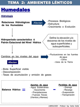 TEMA 2: AMBIENTES LÉNTICOS

Humedales
Hidrología

                                           - Procesos Biológicos
Relaciones Hidrológicas      Afectan       - Estructura
de los Humedales
                                           - Crecimiento o Evolución



                                             Define la elevación y/o
Hidroperíodo característico ó              descenso de los niveles de
Patrón Estacional del Nivel Hídrico           agua superficiales y
                                               subsuperficiales.


                                                - Fluctuaciones en las fuentes
Cambios en los niveles del agua                             de agua
                                                             - Clima
      Afectan                                         - Usos de la Tierra


- Biota Superficial visible
- Descomposición
- Tasas de acumulación y emisión de gases



                           Aportes de agua                   Perdidas de agua

Balance Hídrico
                  =
                          - Agua Subterránea
                               - Escorrentía
                            - Precipitaciones
                            - Fuerzas físicas
                                                      -            - Drenaje
                                                                  - Recarga
                                                                - Evaporación
                                                               - Transpiración
                           (Vientos y Mareas)



                                                LIMNOLOGÍA - Profesor: Ing. Carlos Goitía
 