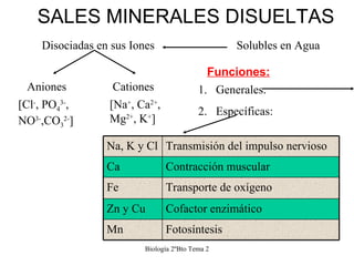 SALES MINERALES DISUELTAS Biología 2ºBto Tema 2 Solubles en Agua Disociadas en sus Iones Aniones Cationes [Cl - , PO 4 3- ...