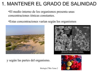 1. MANTENER EL GRADO DE SALINIDAD Biología 2ºBto Tema 2 <ul><li>El medio interno de los organismos presenta unas concentra...