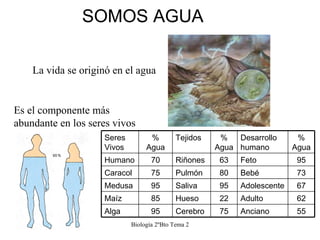 SOMOS AGUA Biología 2ºBto Tema 2 La vida se originó en el agua Es el componente más abundante en los seres vivos Seres Viv...