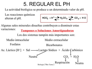 5. REGULAR EL PH Biología 2ºBto Tema 2 La actividad biológica se produce a un determinado valor de pH. Las reacciones quím...