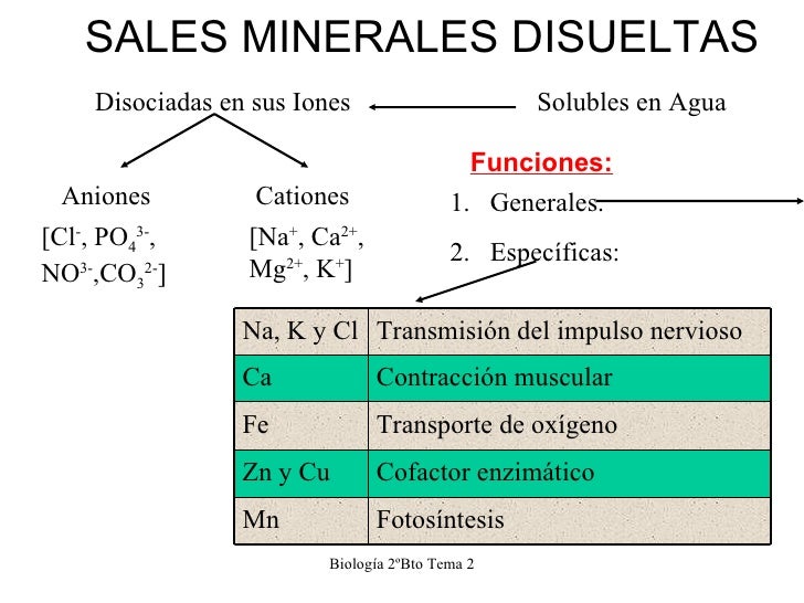 Tema 2 el agua