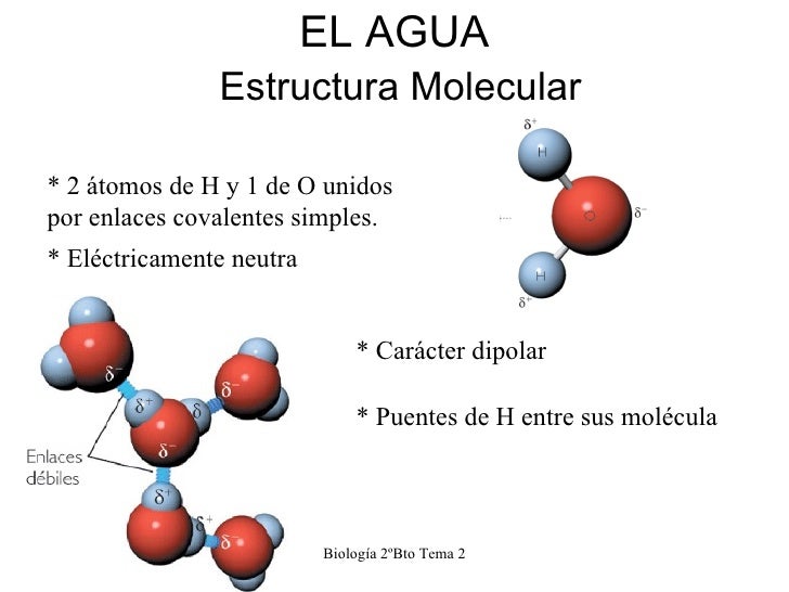 Estructura Molecular Del Agua En Estado Solido 2020 idea