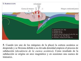 5. Cuando (en uno de los márgenes de la placa) la corteza oceánica se
desprende y se flexiona debido a su elevada densidad empieza el proceso de
subducción (decadencia de la cuenca oceánica). Como resultado de la
subducción se origina un arco magmático y en ocasiones una cuenca de
transarco.
 