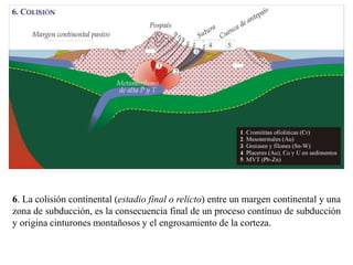 6. La colisión continental (estadio final o relicto) entre un margen continental y una
zona de subducción, es la consecuencia final de un proceso contínuo de subducción
y origina cinturones montañosos y el engrosamiento de la corteza.
 