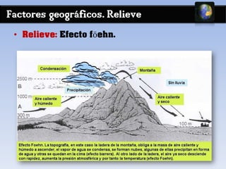 Factores geográficos. Relieve
• Relieve: Efecto föehn.
 