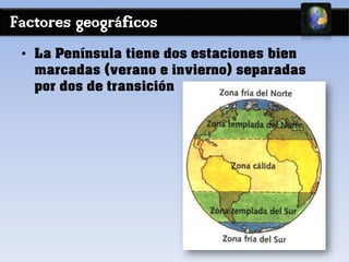 Factores geográficos
• La Península tiene dos estaciones bien
marcadas (verano e invierno) separadas
por dos de transición
 