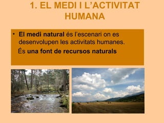 Tema 2.el medi i l'activitat humana | PDF