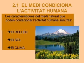 Tema 2.el medi i l'activitat humana | PDF