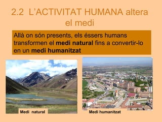 Tema 2.el medi i l'activitat humana | PDF