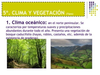 5º. CLIMA Y VEGETACIÓN  (Tipos)   1. Clima oceánico:  e n el norte peninsular. Se caracteriza por temperaturas suaves y precipitaciones abundantes durante todo el año. Presenta una vegetación de bosque caducifolio (hayas, robles, castaños, etc. además de la existencia de praderas) 