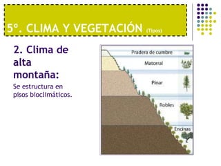 5º. CLIMA Y VEGETACIÓN  (Tipos)   2. Clima de alta montaña:  Se estructura en pisos bioclimáticos. 