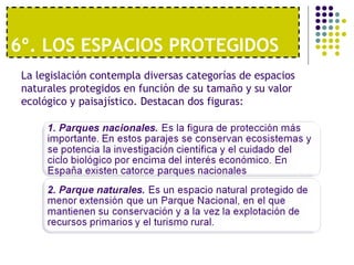 6º. LOS ESPACIOS PROTEGIDOS  La legislación contempla diversas categorías de espacios naturales protegidos en función de su tamaño y su valor ecológico y paisajístico. Destacan dos figuras: 