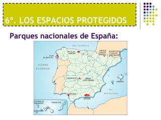 6º. LOS ESPACIOS PROTEGIDOS  Parques nacionales de España: 