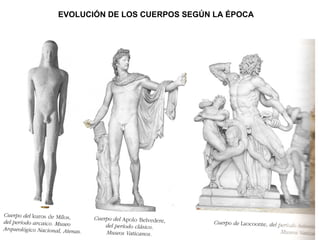 EVOLUCIÓN DE LOS CUERPOS SEGÚN LA ÉPOCA 