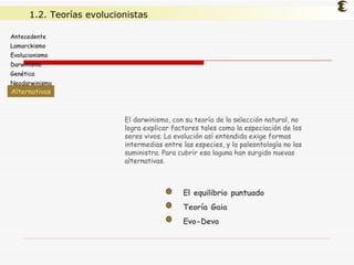 El darwinismo, con su teoría de la selección natural, no logra explicar factores tales como la especiación de los seres vivos. La evolución así entendida exige formas intermedias entre las especies, y la paleontología no las suministra. Para cubrir esa laguna han surgido nuevas alternativas. El equilibrio puntuado Teoría Gaia Evo-Devo Antecedente Lamarckismo Evolucionismo Darwinismo Genética Neodarwinismo Alternativas Alternativas 1.2. Teorías evolucionistas 