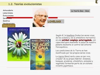Según él, la  biosfera  (todos los seres vivos de los océanos y de la atmósfera terrestre) es una  entidad compleja autorregulada , con capacidad para mantener la salud de nuestro planeta mediante el control del entorno fisicoquímico. Las condiciones de la Tierra se han modificado por los propios seres vivos. La  tierra  (Gaia) sería como un ser vivo, creador de su propia hábitat. Océanos, bosques, praderas, atmósfera, animales y  vegetales formarían parte de un sistema viviente gigantesco.  La teoría Gea - Gaia LOVELOCK Antecedente Lamarckismo Evolucionismo Darwinismo Genética Neodarwinismo Alternativas Alternativas 1.2. Teorías evolucionistas 