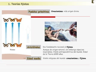 1. Teorías fijistas Creacionismo : vida origen divino Aristóteles Pueblos primitivos Dio fundamento racional al  fijismo . Aunque de origen natural, sin embargo especies invariables. Visión antropocéntrica del mundo. Edad de la Tierra 6000 años. Edad media Visión religiosa del mundo:  creacionismo  y  fijismo 