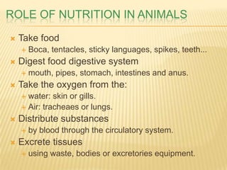 ROLE OF NUTRITION IN ANIMALS

   Take food
       Boca, tentacles, sticky languages, spikes, teeth...
   Digest food digestive system
       mouth, pipes, stomach, intestines and anus.
   Take the oxygen from the:
     water: skin or gills.
     Air: tracheaes or lungs.

   Distribute substances
       by blood through the circulatory system.
   Excrete tissues
       using waste, bodies or excretories equipment.
 
