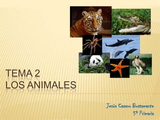TEMA 2
LOS ANIMALES
               Jesús Casero Bustamante
                            5º Primaria
 