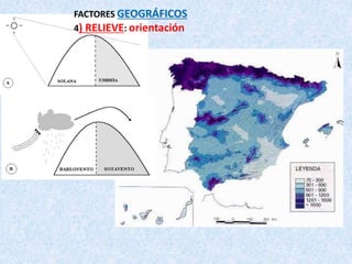 FACTORES GEOGRÁFICOS
4) RELIEVE: orientación
 