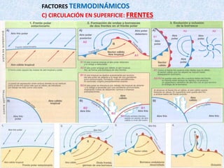FACTORES TERMODINÁMICOS
C) CIRCULACIÓN EN SUPERFICIE: FRENTES
 
