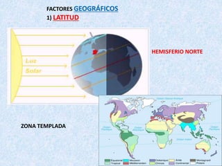 FACTORES GEOGRÁFICOS
1) LATITUD
HEMISFERIO NORTE
ZONA TEMPLADA
 