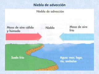 Niebla de advección
 