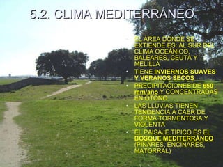 5.2. CLIMA MEDITERRÁNEO EL ÁREA DONDE SE EXTIENDE ES: AL SUR DEL CLIMA OCEÁNICO, BALEARES, CEUTA Y MELILLA TIENE  INVIERNOS SUAVES Y VERANOS SECOS PRECIPITACIONES DE  650 mm/año  Y CONCENTRADAS EN OTOÑO LAS LLUVIAS TIENEN TENDENCIA A CAER DE FORMA TORMENTOSA Y VIOLENTA EL PAISAJE TÍPICO ES EL  BOSQUE MEDITERRÁNEO  (PINARES, ENCINARES, MATORRAL) 