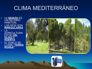 CLIMA MEDITERRÁNEO LA  SEQUÍA  ES UN PELIGRO HABITUAL LOS RÍOS SON  IRREGULARES LA AGRICULTURA ES DE  VID, OLIVO Y HUERTA EL SUELO SE LLAMA  “TERRA ROSSA” 