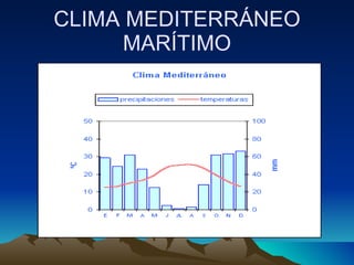 CLIMA MEDITERRÁNEO MARÍTIMO 