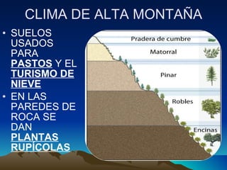 CLIMA DE ALTA MONTAÑA SUELOS USADOS PARA  PASTOS  Y EL  TURISMO DE NIEVE EN LAS PAREDES DE ROCA SE DAN  PLANTAS RUPÍCOLAS 