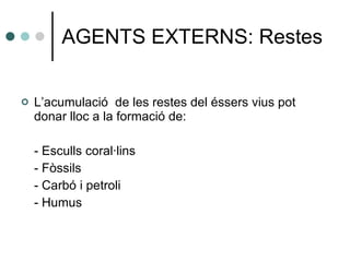 AGENTS EXTERNS: Restes L’acumulació  de les restes del éssers vius pot donar lloc a la formació de: - Esculls coral·lins - Fòssils - Carbó i petroli - Humus 