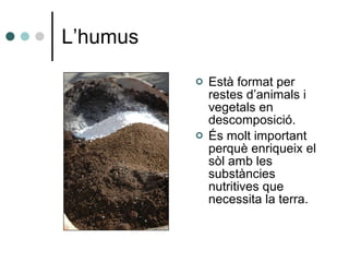 L’humus Està format per restes d’animals i vegetals en descomposició. És molt important perquè enriqueix el sòl amb les substàncies nutritives que necessita la terra. 