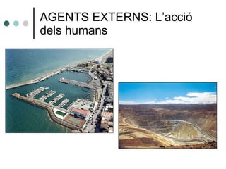 AGENTS EXTERNS: L’acció dels humans 