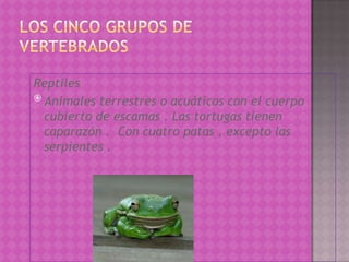 Reptiles
 Animales terrestres o acuáticos con el cuerpo

  cubierto de escamas . Las tortugas tienen
  caparazón . Con cuatro patas , excepto las
  serpientes .
 