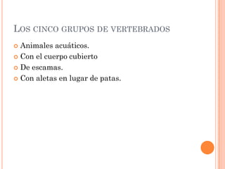 LOS CINCO GRUPOS DE VERTEBRADOS
 Animales acuáticos.
 Con el cuerpo cubierto

 De escamas.

 Con aletas en lugar de patas.
 