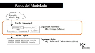 Fases del Modelado
 